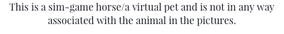 This is a sim-game horse/a virtual pet and is not in any way associated with the animal in the pictures.